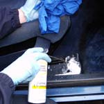 Car's carpet being pre-sprayed in the Valet Guide